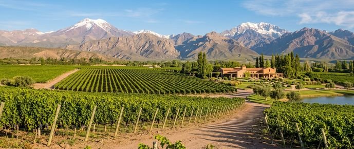 Mendoza (Gemini)