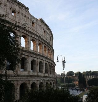 Roma - 317x329