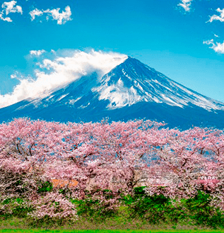 pacote para japao destaque