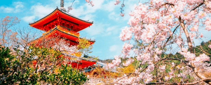 pacote para japao topico 1