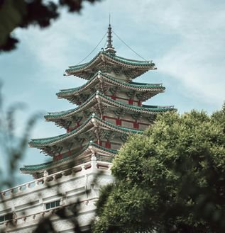 pexels-hoffman11-25956386 (1)