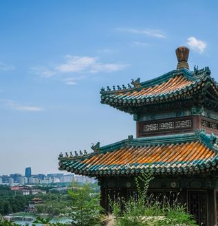 pexels-magda-ehlers-pexels-2846076 (1)